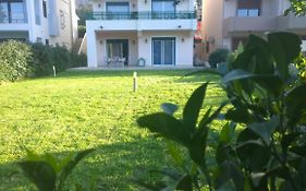 Dimitra'S House